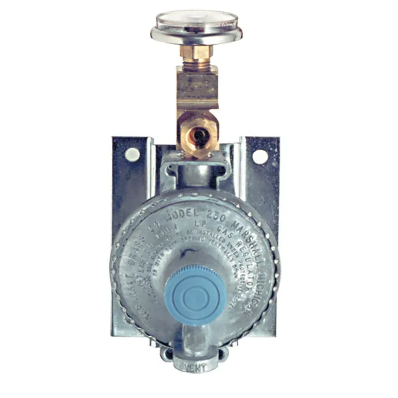 Trident Marine Single-Stage Propane Regulator – 300 Psi Pressure Gauge, Wall-Mount 1